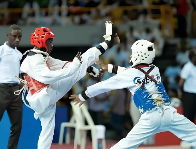 Représentation de Taekwondo Baby champion