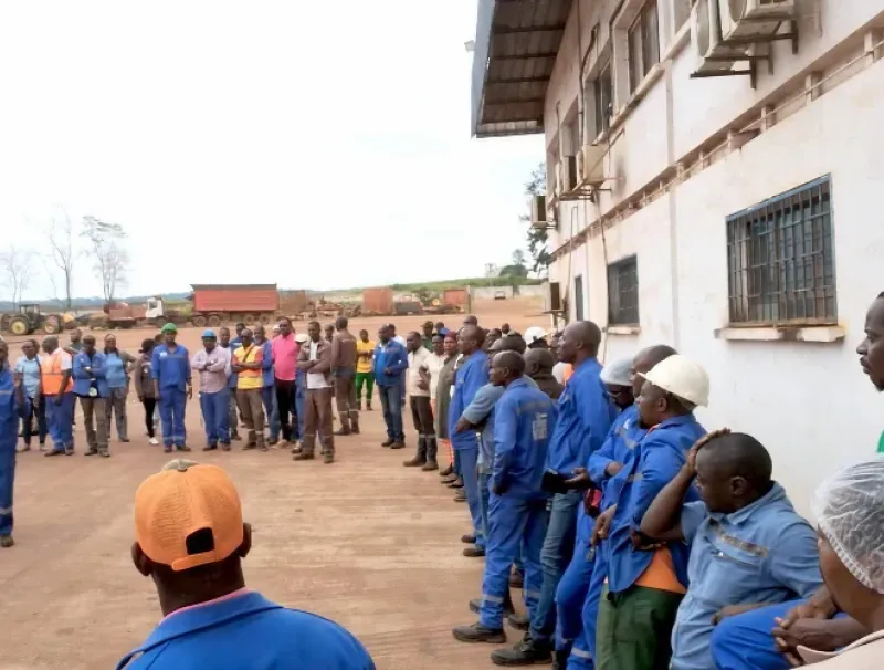 Les salariés des Sucreries du Gabon sont en arrêt de travail depuis le début du mois.