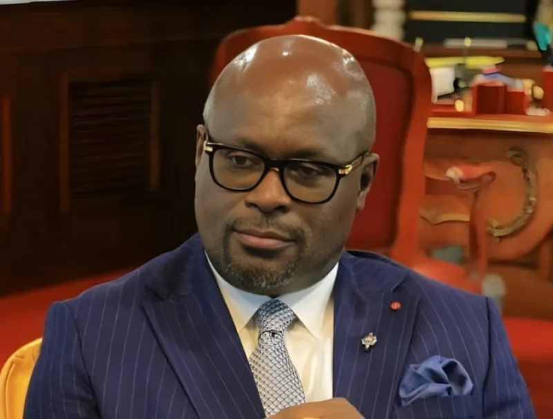 Michel Régis Onanga Ndiaye, président de l'Assemblée nationale