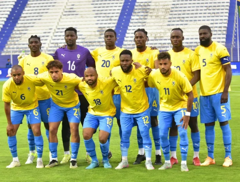 Les panthères du Gabon