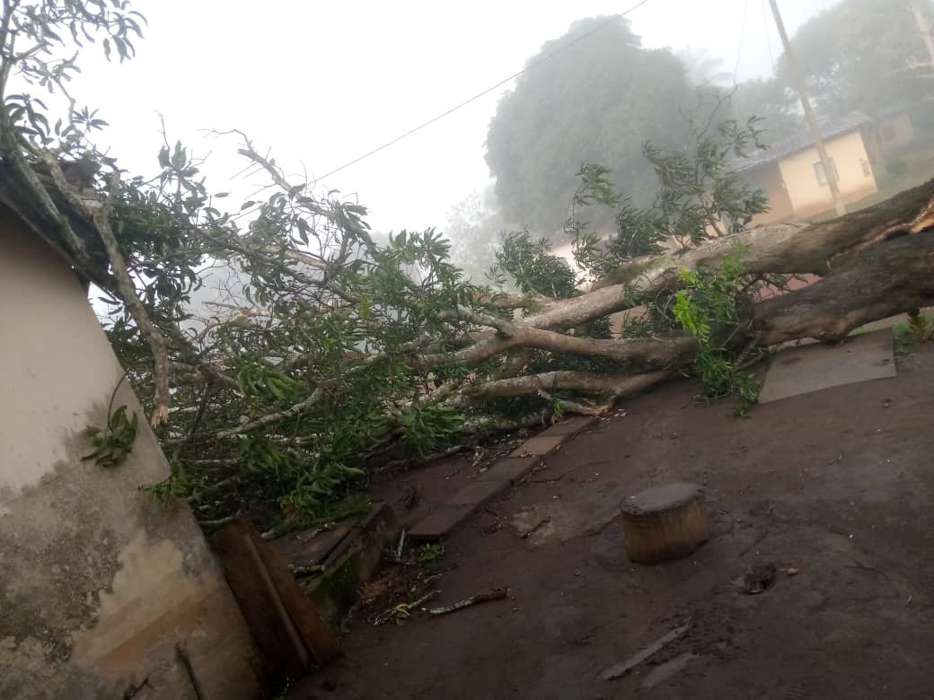 Mounana : un orage fait des dégâts à la cité 5 000