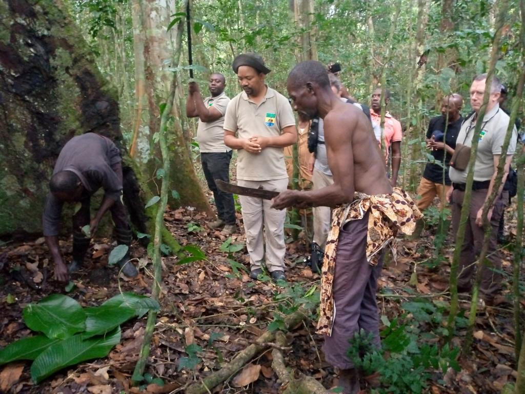 Forêts communautaires : améliorer la qualité de vie des populations