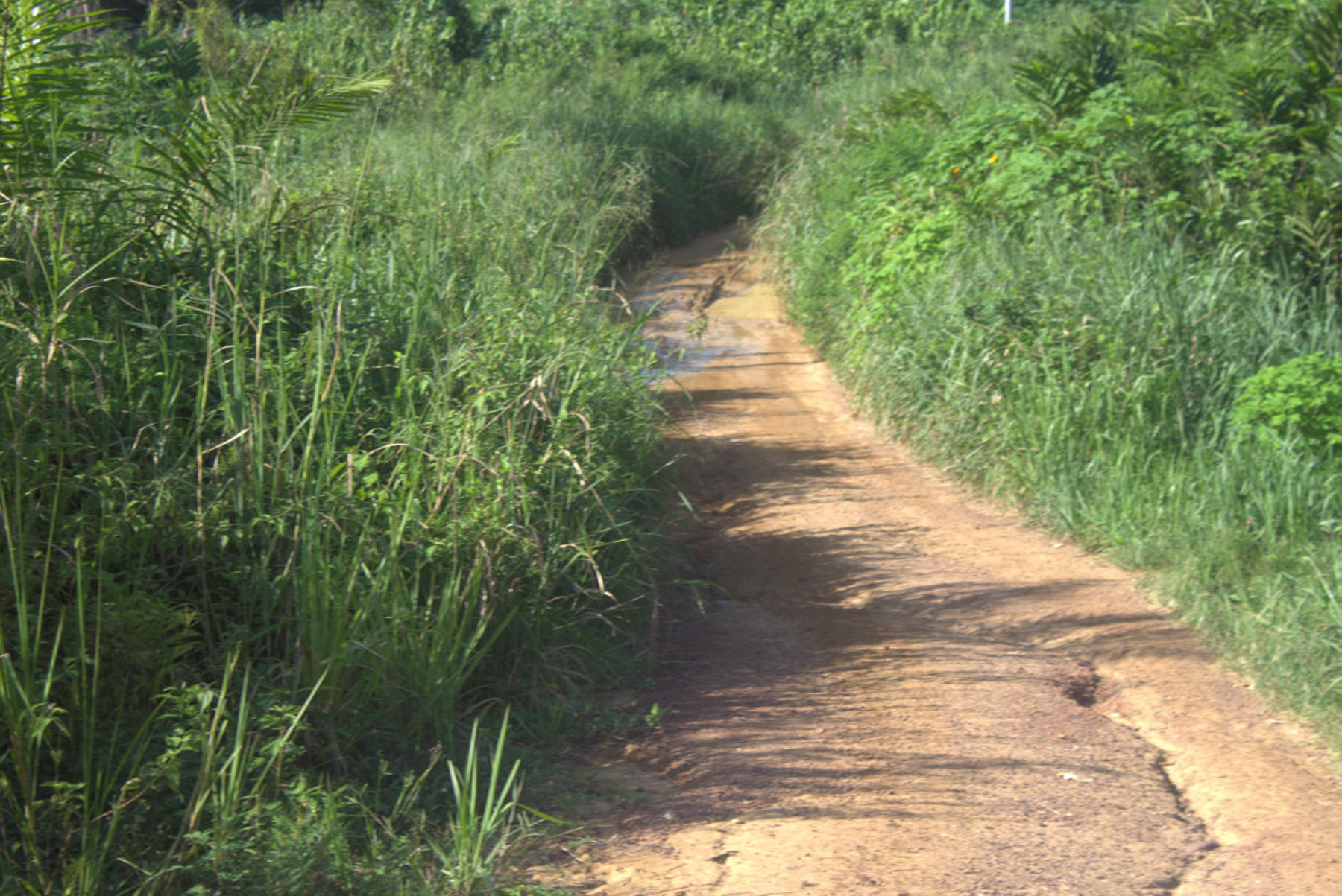 Bounda Balonzi inspecte les routes de la commune de Makokou