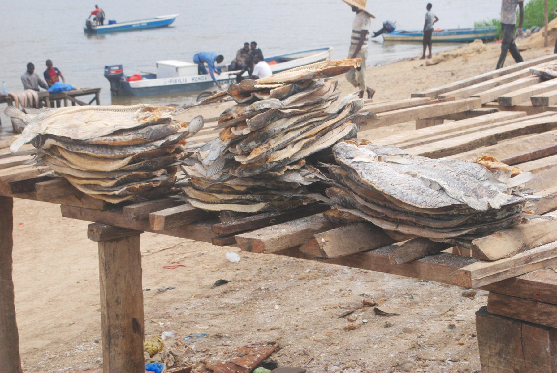 Pêche : 400 millions de francs d’exportation
