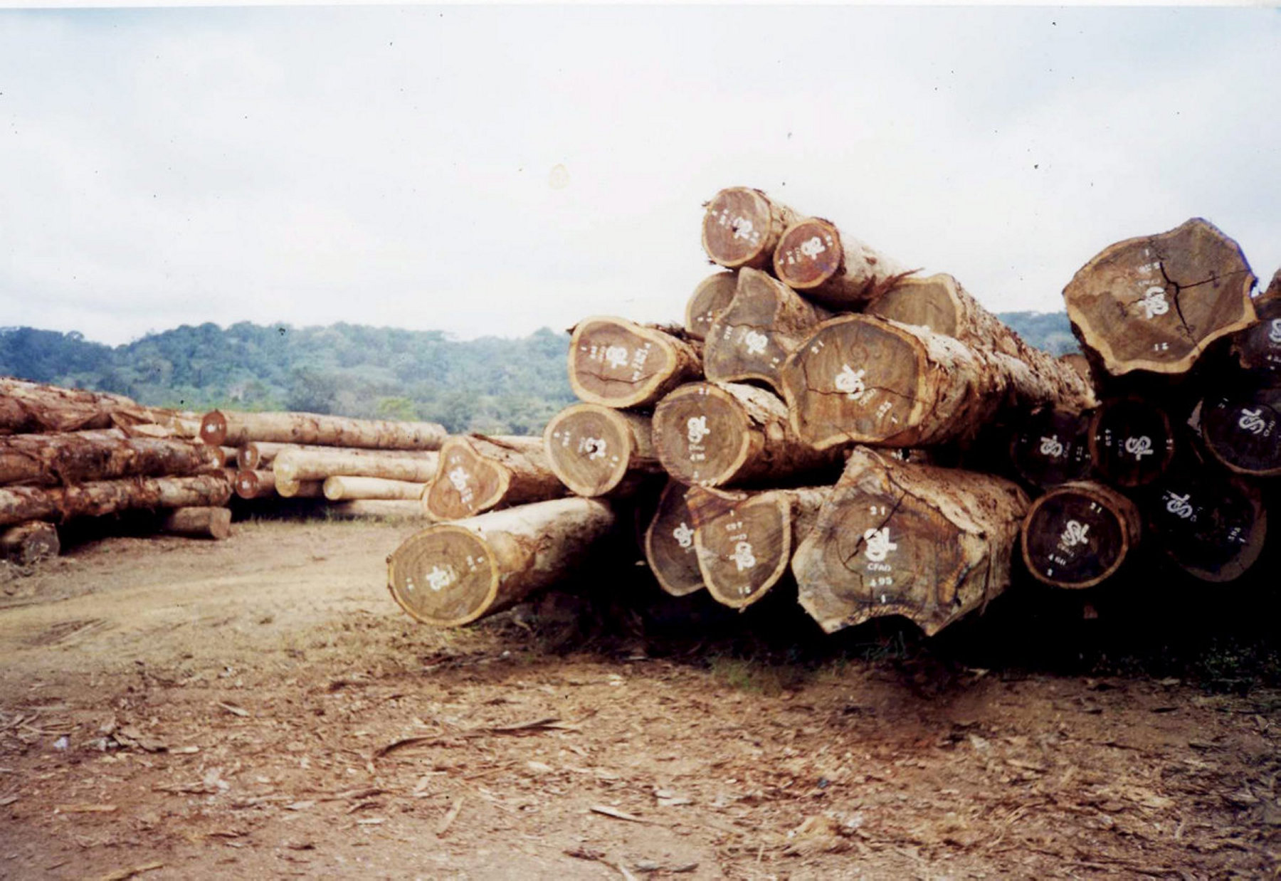 Mabanda : sept exploitants forestiers gabonais interpellés par des militaires congolais