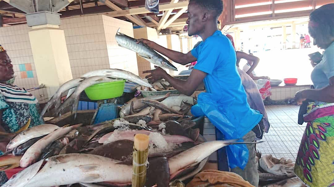 Port-Gentil : le poisson toujours cher