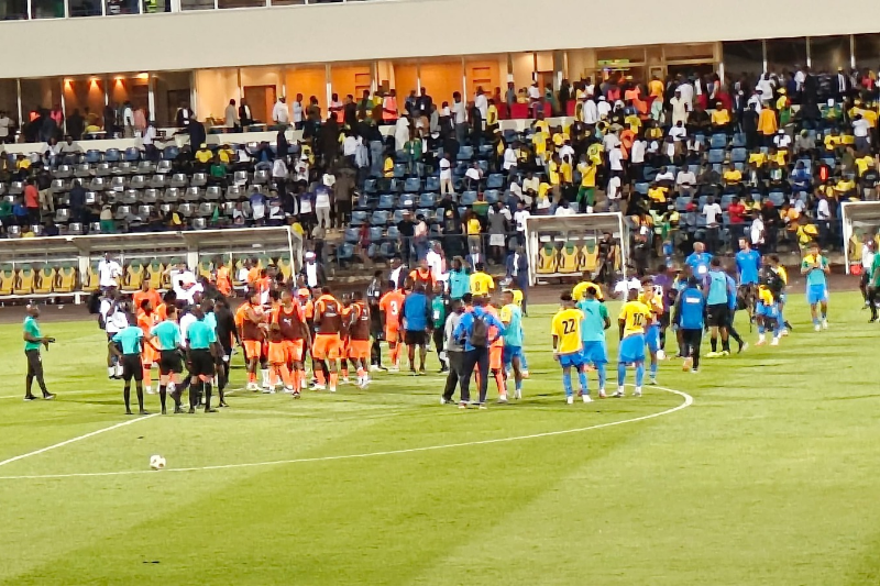 Panthères du Gabon