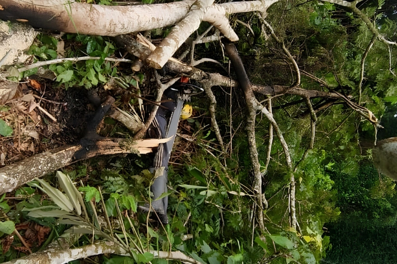 Le lieu où l’abatteur est passé de vie à trépas sur-le-champ
