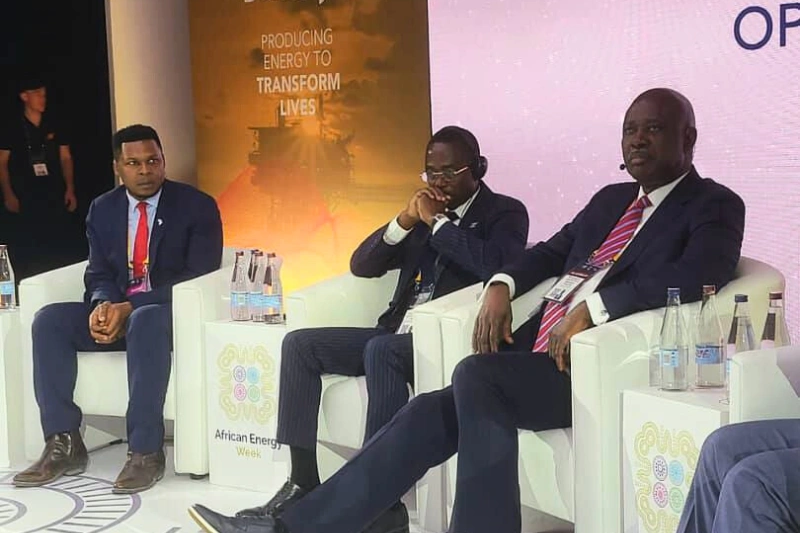 African Energy Week 2025 : le Gabon vante le potentiel de son bassin sédimentaire