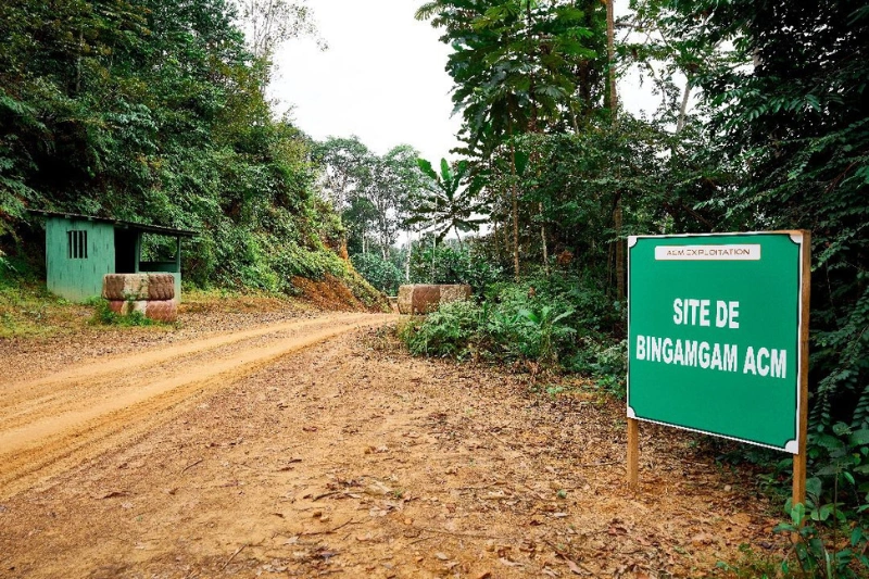 Agroforesterie  : l’heure du bilan pour le groupe Alpha Centauri Mining