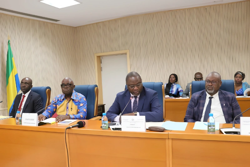 Assemblée Nationale du Gabon