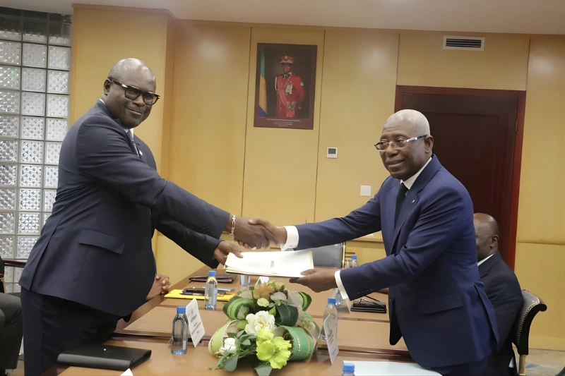 Assemblée nationale : Onanga Ndiaye à la tâche