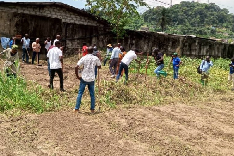 Aviculture : le Gabon veut former 40 000 professionnels