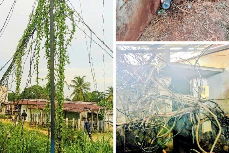 Bizango-Rails : sous la menace permanente des fils électriques