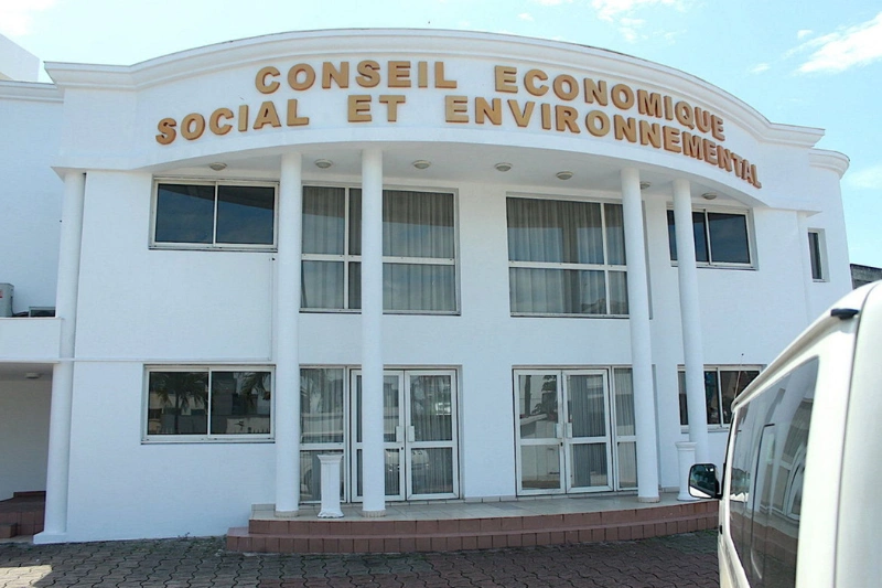 Conseil économique, social, environnemental
