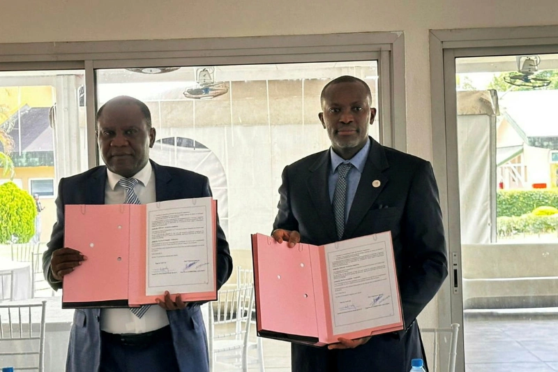 Café : la Caistab relance le bloc d'Ondjeye et vise 200 hectares