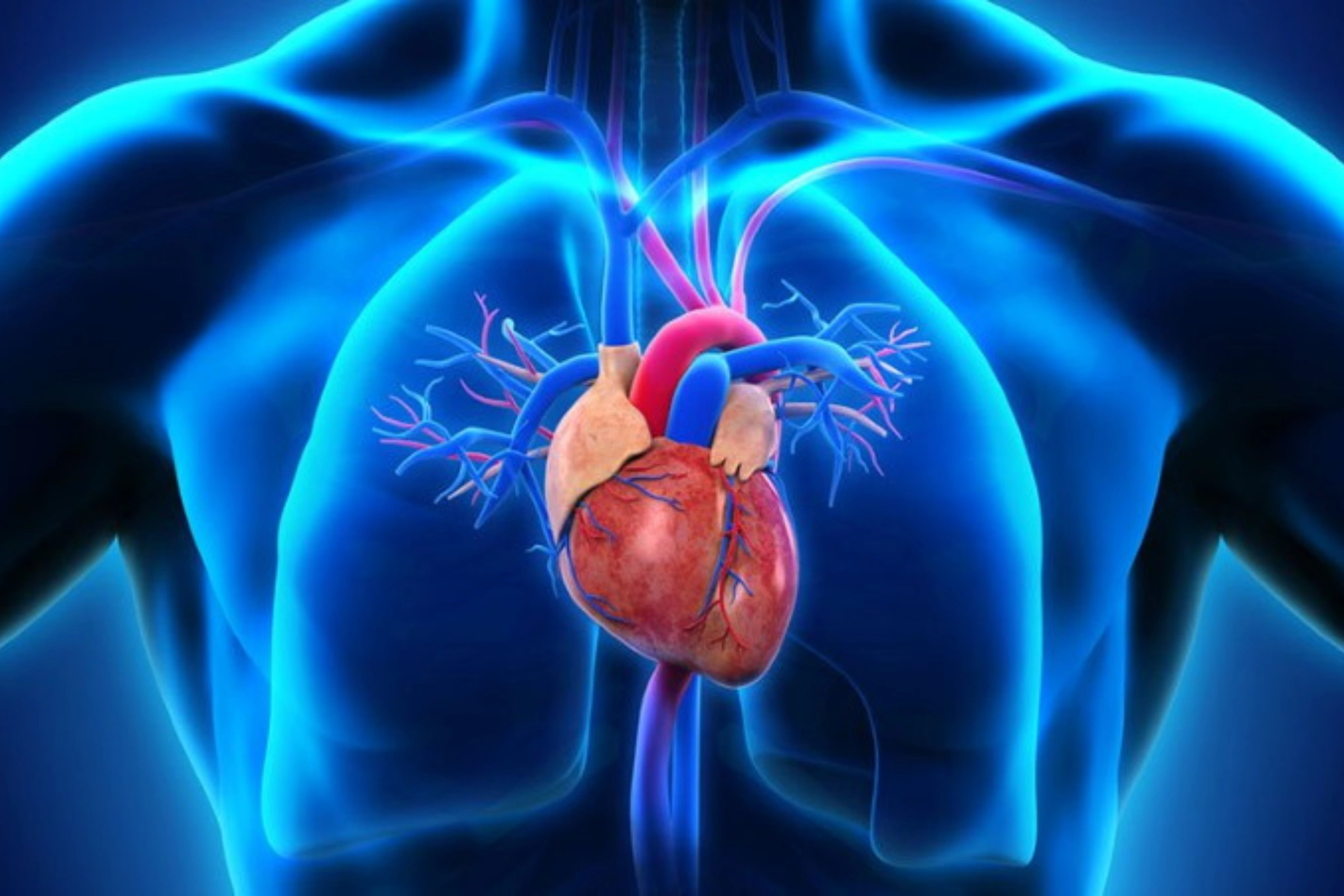 Cardiologie. © DR