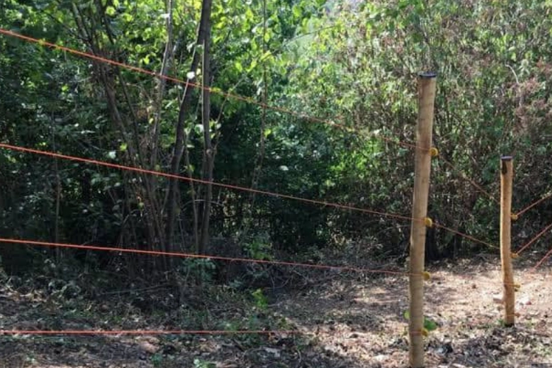 Clôtures électriques : l’agriculture reprend à Makokou 