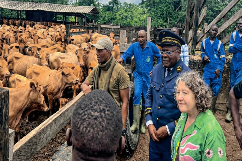 Tchibanga : deux ministres et des experts britanniques au Ranch-Nyanga