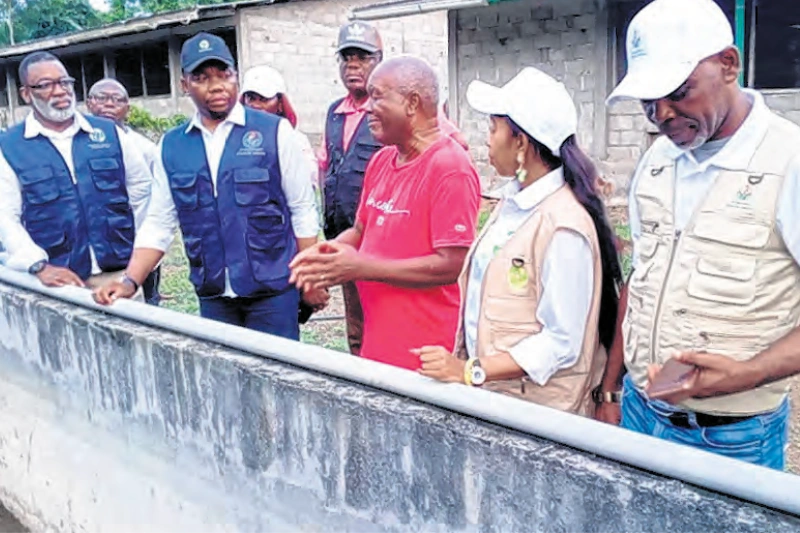 Aviculture : le GIA prospecte le fort potentiel du Ntem