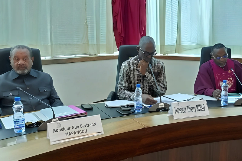 CNEF : l'économie gabonaise affiche une croissance maintenue à 4 %