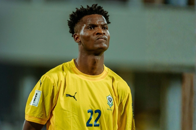 Didier Ndong, le chaînon qui manquait