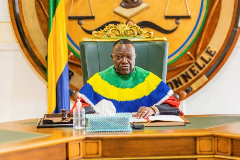 RGPL : le Gabon compte désormais 3 518 621 habitants