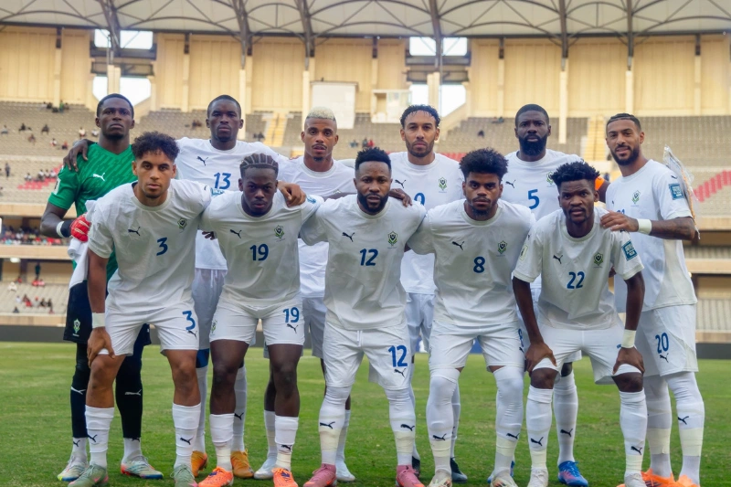 les Panthères en quête de renouveau