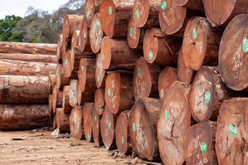La filière bois enregistre une chute de -23,7 % en 2025