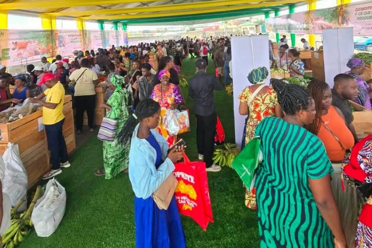 Foire agricole de Nzeng-Ayong : le "made in Gabon" a conquis les Librevillois