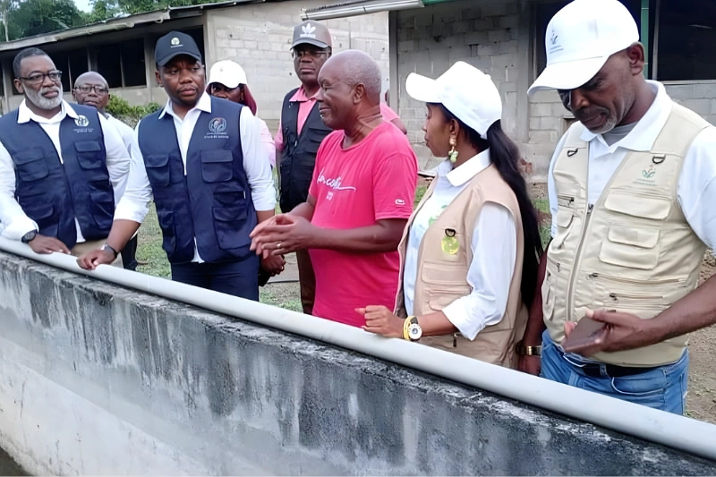 Bitam : une mission sur les installations d'Olam Rubber