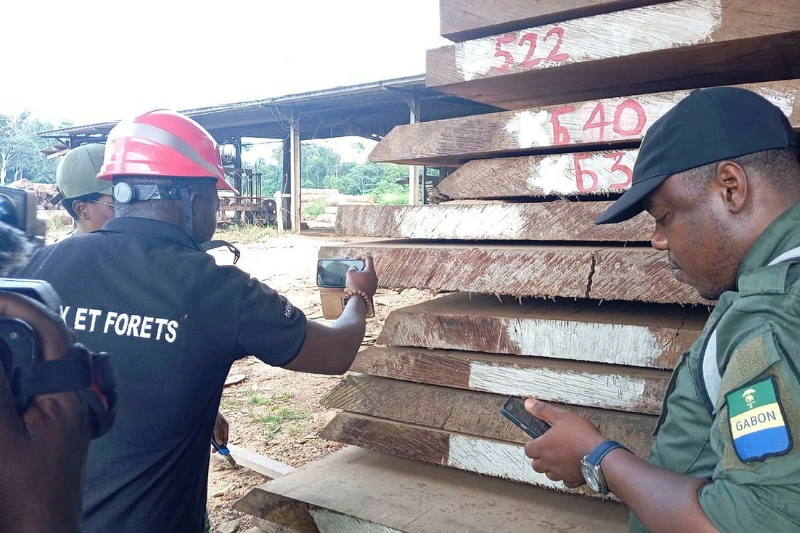 Kevazingo : l'inventaire national a commencé par Oyem et Makokou