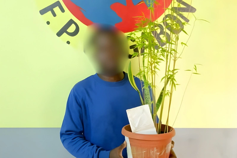 Josué Neville Bourébé, pris en possession de cannabis