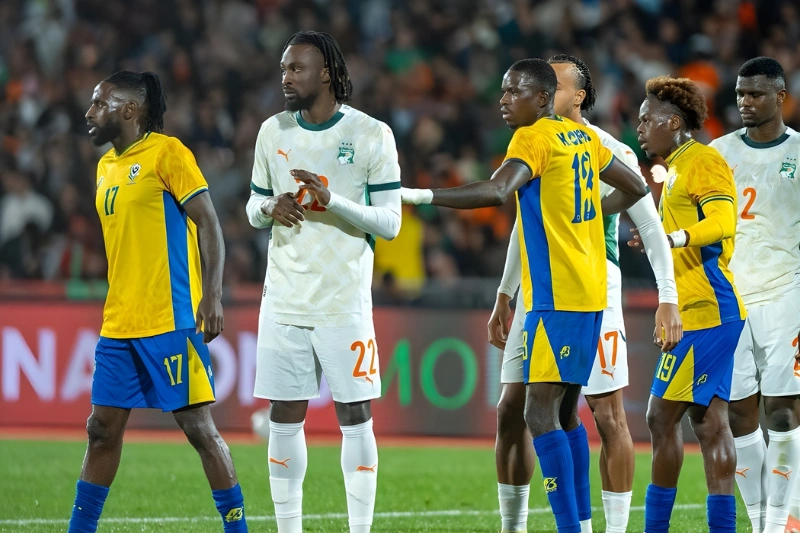 Panthères : un bilan désastreux mais prévisible