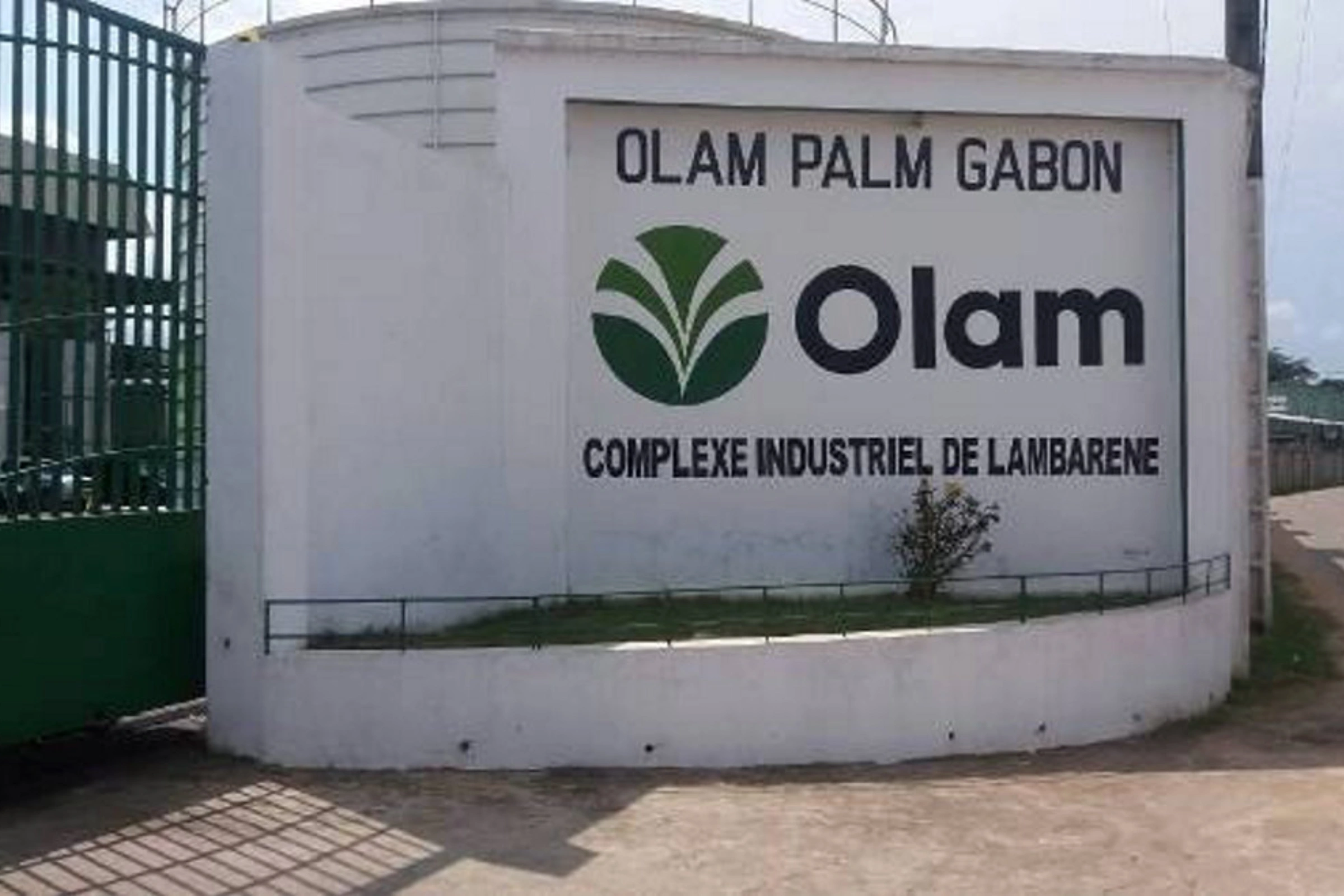 L’un des sites d’Olam Palm Gabon à Lambaréné. © DR