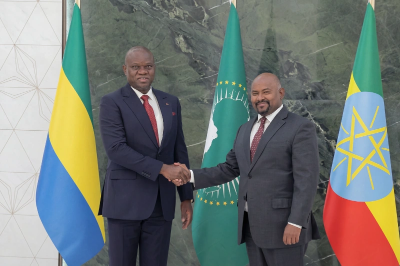 Brice Clotaire Oligui Nguema, président du Gabon