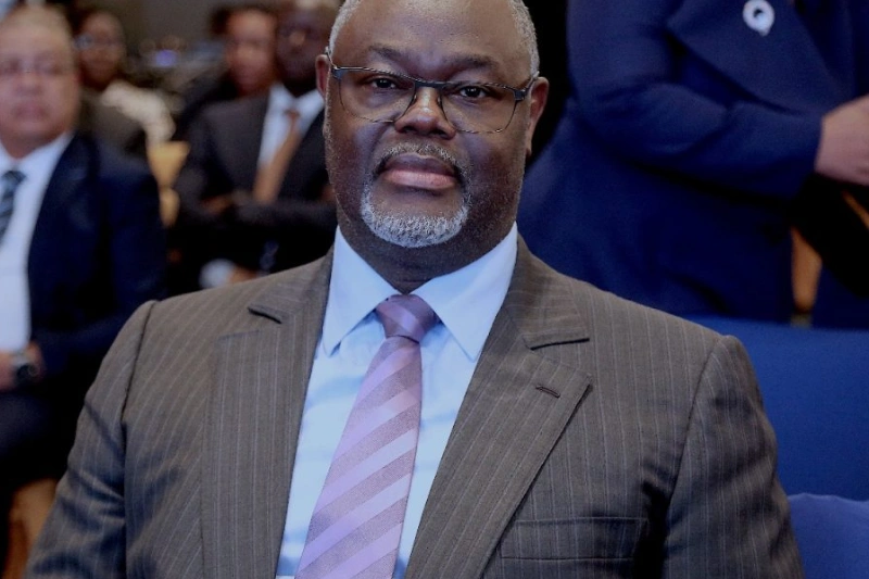 Poulet de chair : l'ambitieux projet de la Sogada