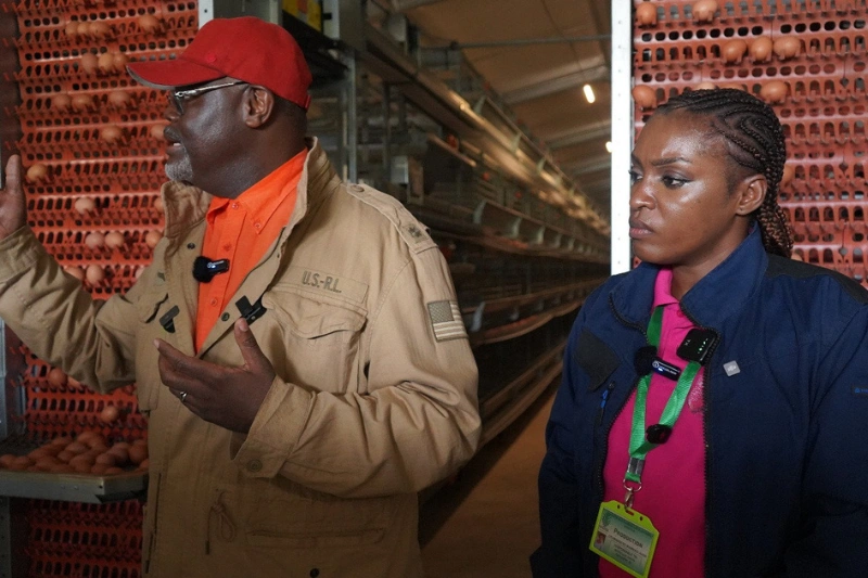 Aviculture : la Sogada vise une production annuelle de 52 millions d'oeufs