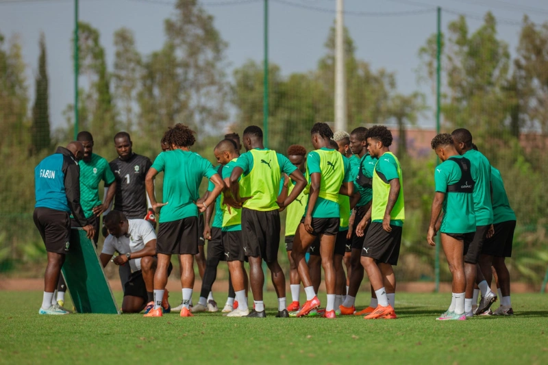 Football : les Panthères à Nairobi dès ce soir