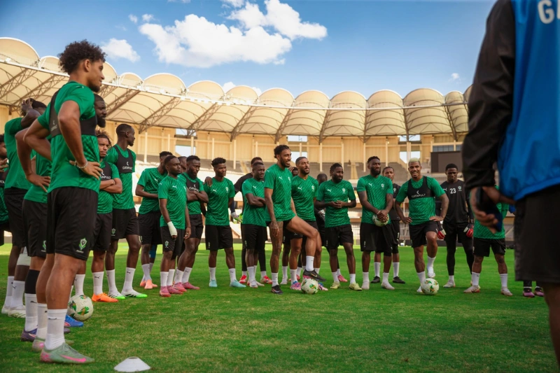 Les panthères du Gabon