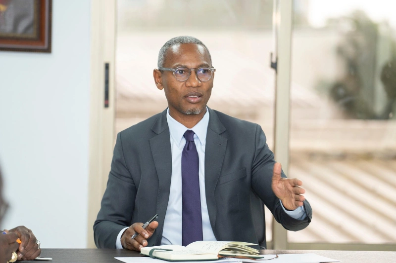 Panthères : incompréhension et imbroglio autour de la nomination du nouveau sélectionneur