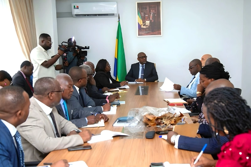 Paludisme : un chercheur gabonais à l'origine d'un traitement à dose unique