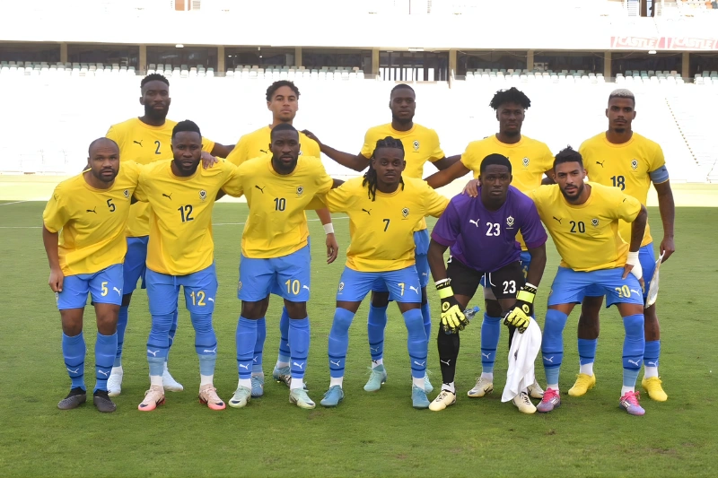 Panthères du Gabon