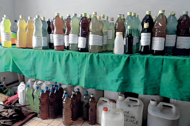Médecine traditionnelle : fin de l'exposition à l'Iphametra