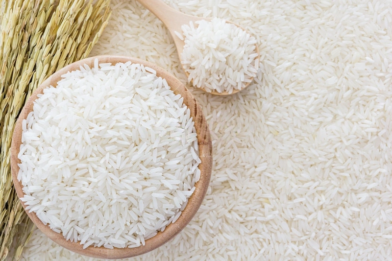 Riziculture : l'expertise chinoise, un modèle pour le Gabon ?