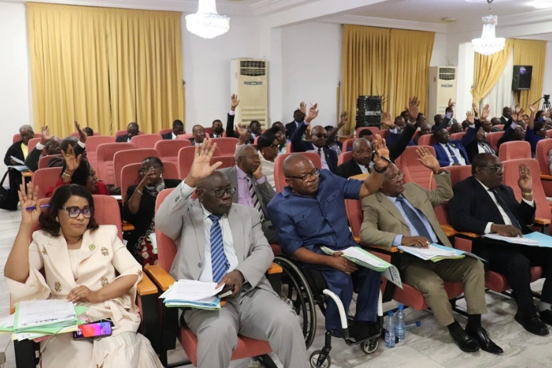 Les sénateurs gabonais au moment de l’adoption du texte