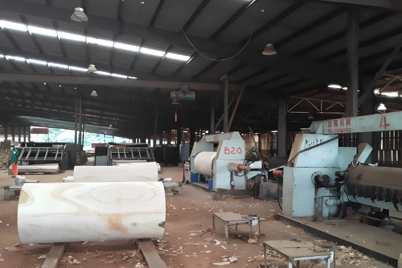 Un pan de l’usine au sein de laquelle le drame s’est produit