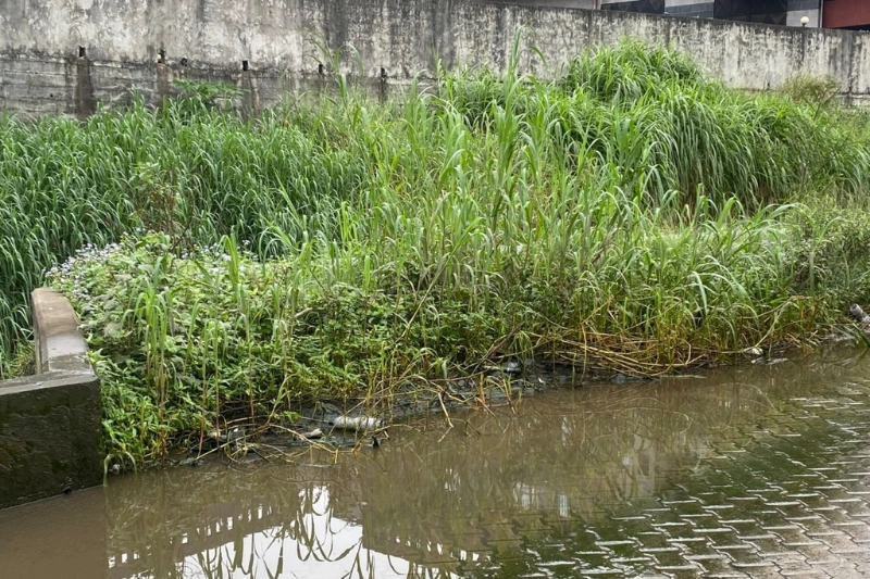 Une vue du bassin versant de nzeng-ayong .