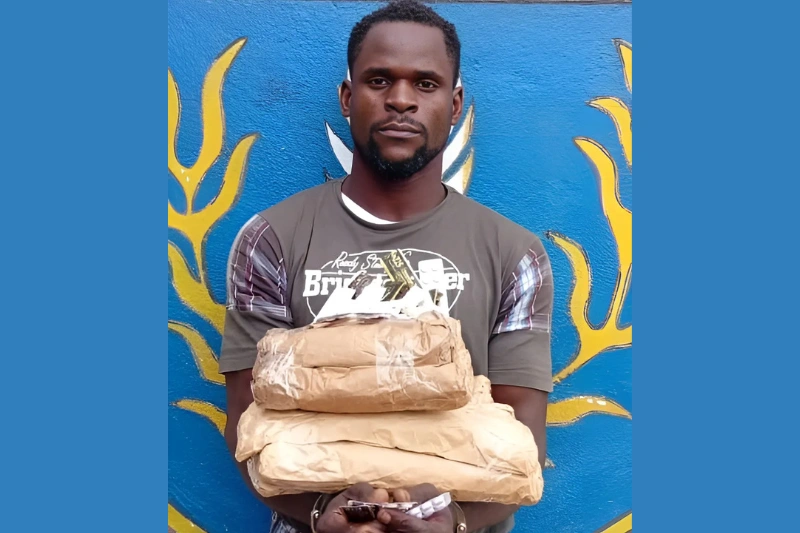 Jimmy-David Waga Ella se ravitaillait régulièrement au Cameroun.