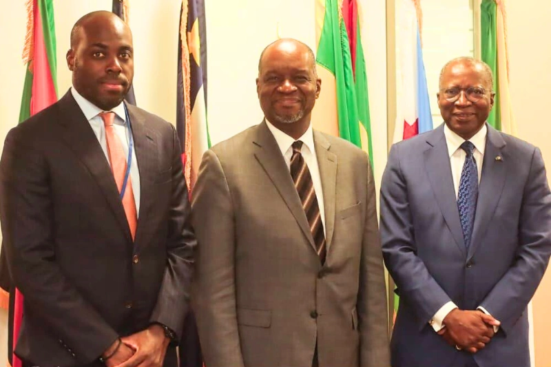 Les ministres Mark-Alexandre DOUMBA (G) et Chales M'BA (D)